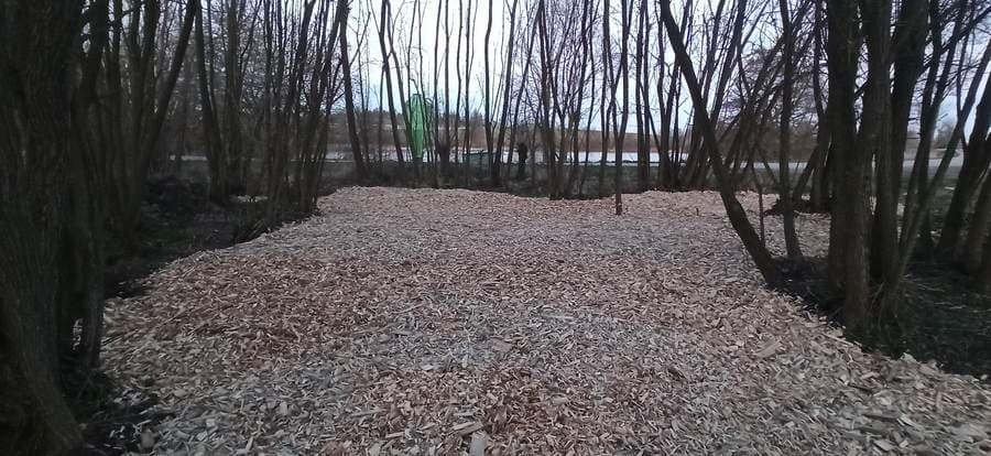 Navezené štěpky na vyrovnané ploše mezi stromy